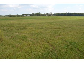 Pond in Dekalb County, Indiana - MAJOR LAND AUCTION - 516+/- ACRES OFFERED IN 18 TRACTS OR COMBINATIONS IN DEKALB COUNTY, INDIANA